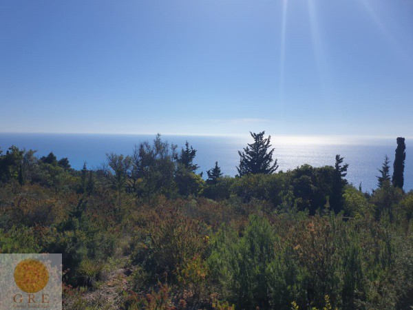 00a3a8fd-a923-4ec7-a7e4-6fc1234d3352