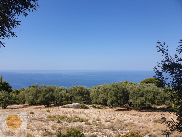 2cb4a98e-c1d3-44e5-8818-468ab3877aa4