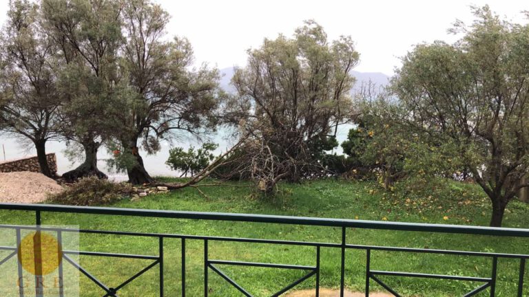 4c215b8f-ecaf-4cd2-bce6-5374b072d7f5