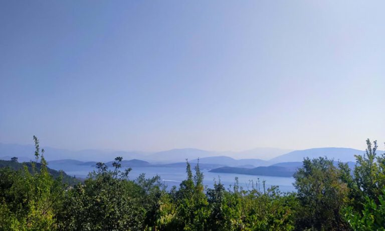 725fef19-61b4-4026-b454-9e3d33d011de