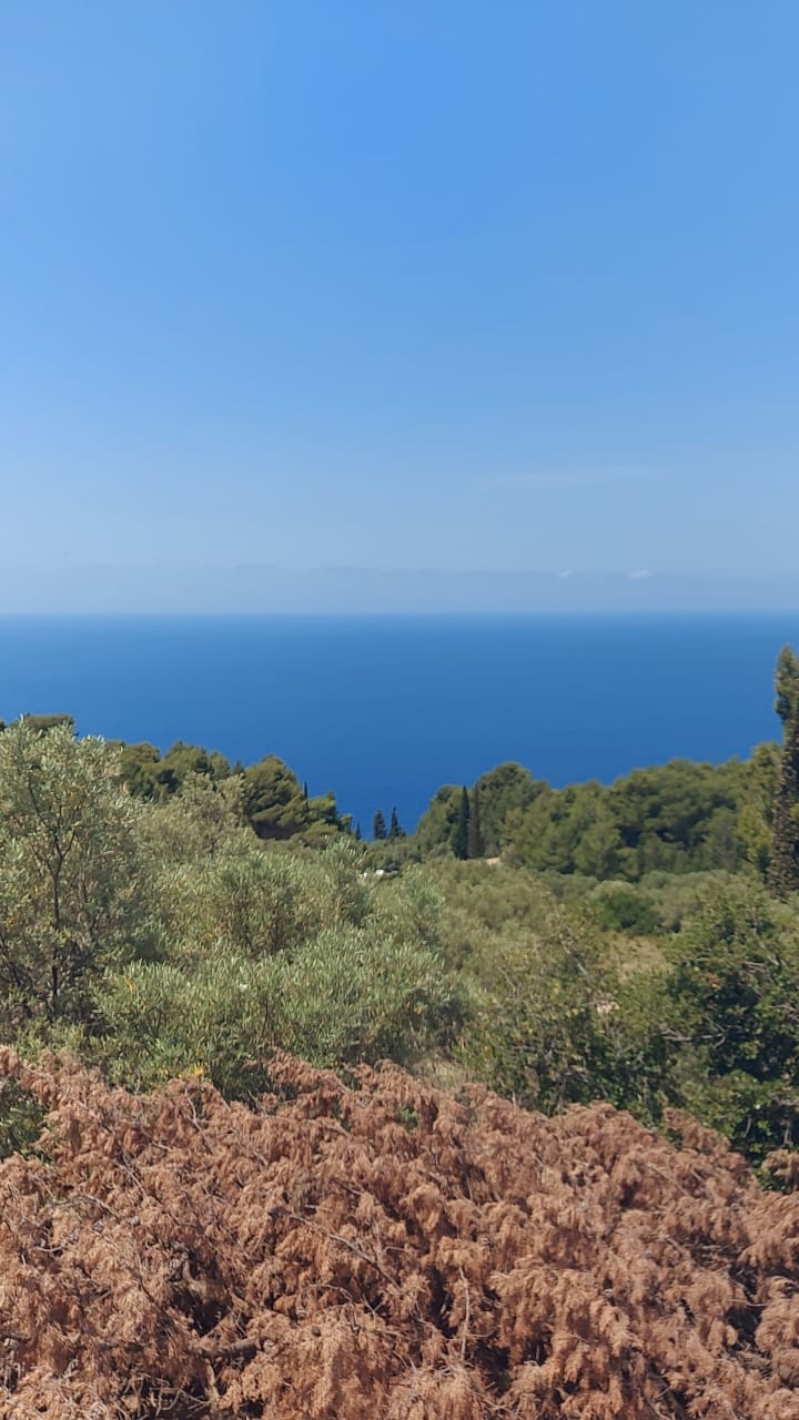 99571960-7a46-4e6e-a376-1fd469e29f1d