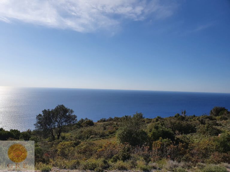 9d258870-c98d-40ac-9921-6e9cf9e24478