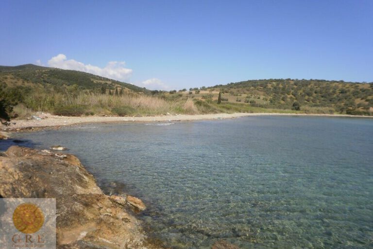 GrAt3-106_ktimatoemporiki_land_poros-24