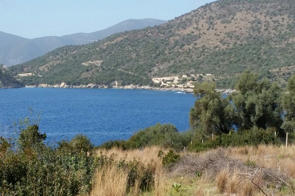 IMG-20150325-WA0005-1