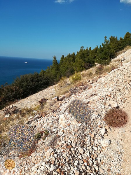 IMG_20171104_141021-2