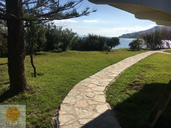 Photo-2-2-20-11-53-46-AM