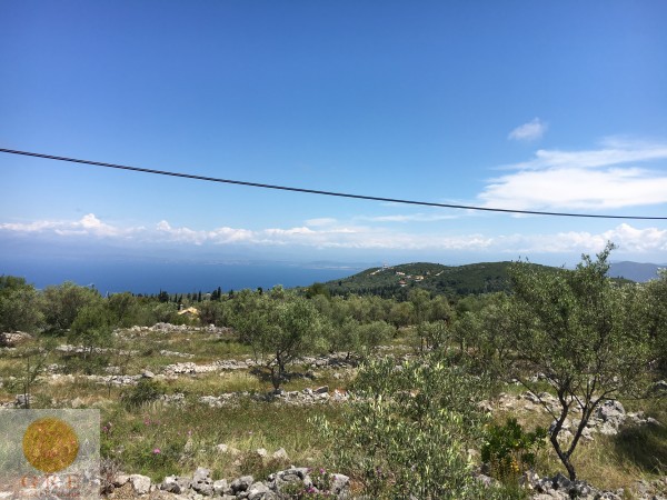 Photo-24-05-2019-12-39-35