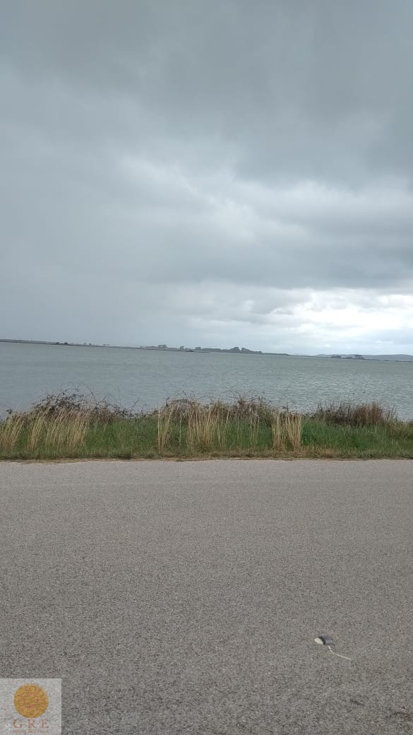 WhatsApp-Image-2019-02-18-at-15.01