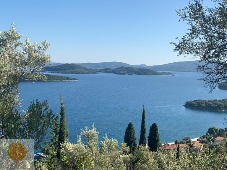 WhatsApp-Image-2019-11-03-at-2.43