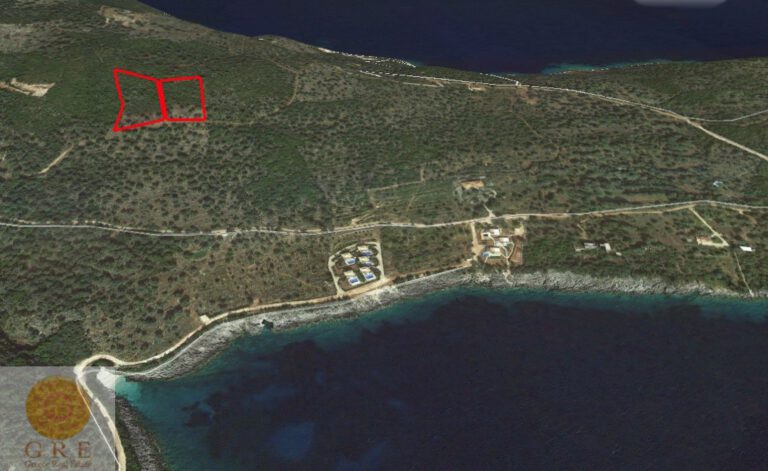 WhatsApp-Image-2020-08-13-at-10.22