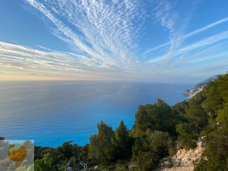 WhatsApp-Image-2020-11-19-at-18.01