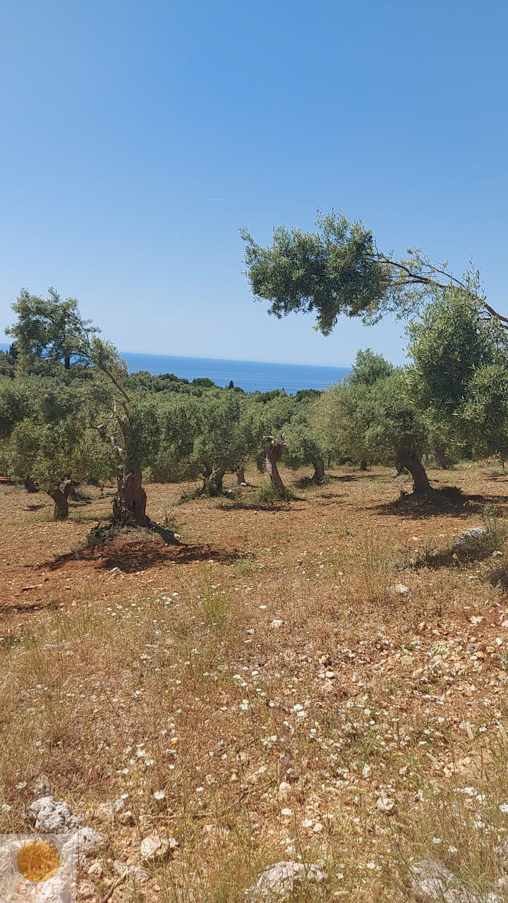 WhatsApp-Image-2021-05-23-at-15.21