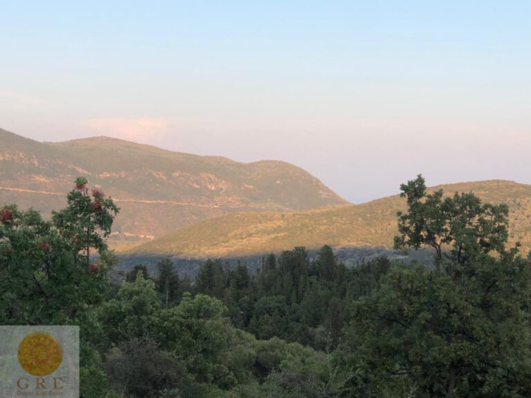 WhatsApp-Image-2021-08-22-at-10.28