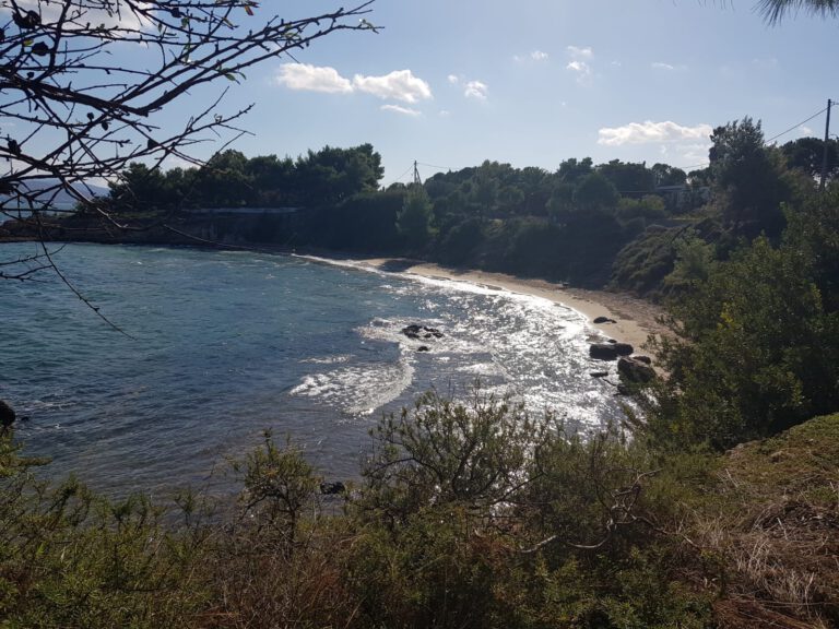 WhatsApp-Image-2022-02-17-at-13.44