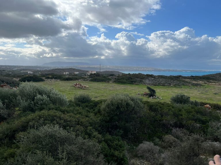 WhatsApp-Image-2022-02-17-at-14.32