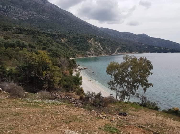 WhatsApp-Image-2022-03-07-at-15.20