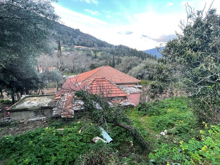 WhatsApp-Image-2022-03-28-at-14.03