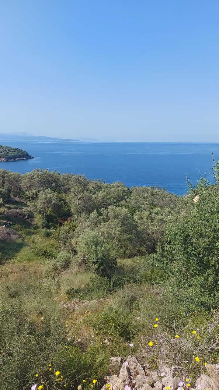 WhatsApp-Image-2022-05-15-at-09.36