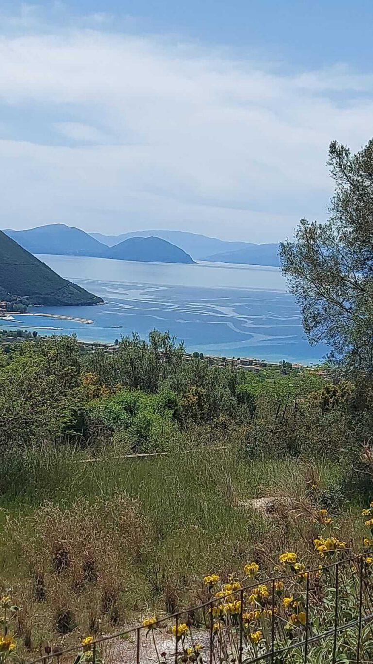 WhatsApp-Image-2022-05-15-at-13.01