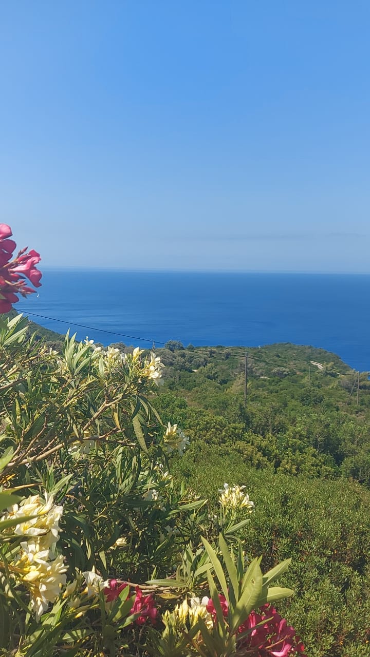 WhatsApp-Image-2022-06-09-at-13.04