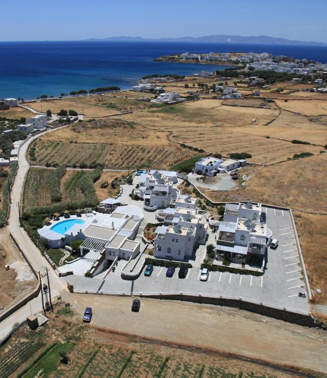 WhatsApp-Image-2022-06-19-at-16.11