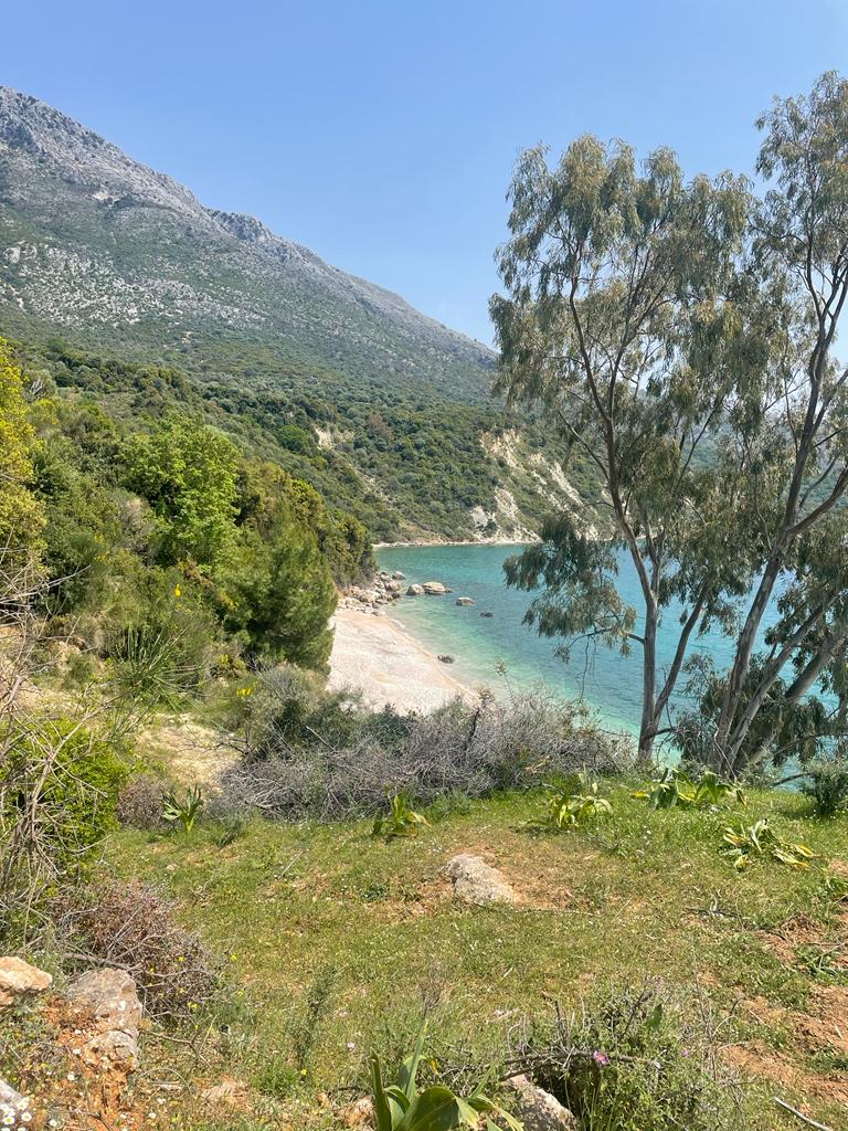 WhatsApp-Image-2022-06-19-at-16.38