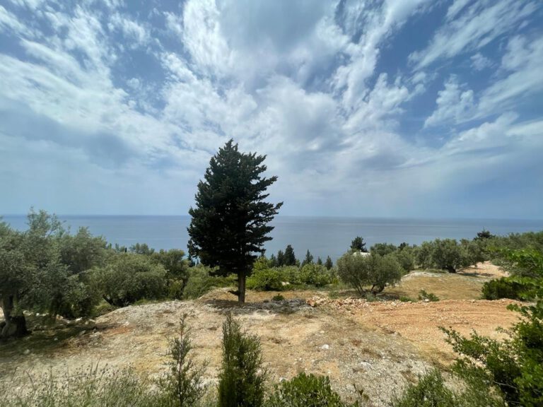 WhatsApp-Image-2022-06-22-at-15.51