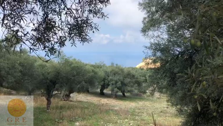 WhatsApp-Video-2019-10-16-at-12.26