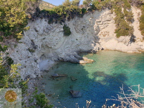 batch_20190915_170116