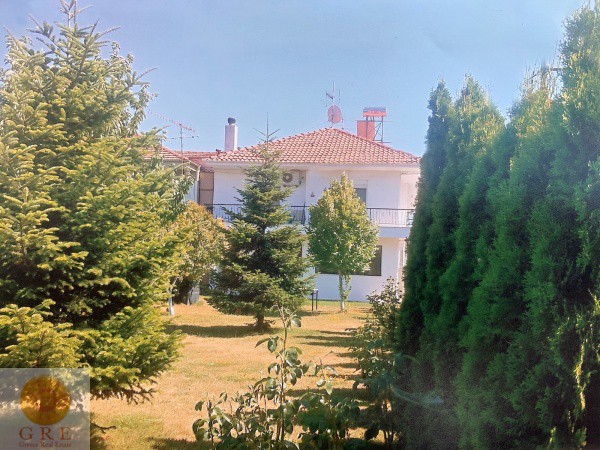 batch_WhatsApp-Image-2019-12-08-at-16.32