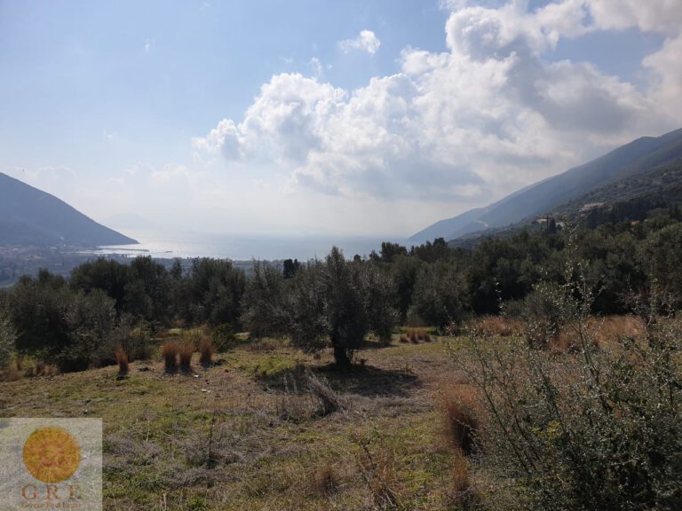 ea8dde6d-4f39-4bd8-981e-511012999e80