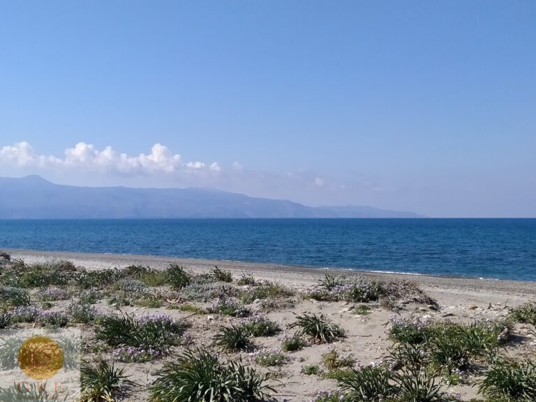 seafront-land-for-sale-in-maleme-chania-cl097IMG_20210329_160248