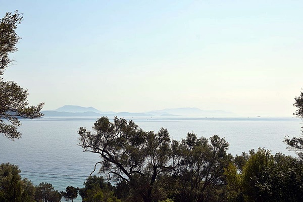 אדמה-146-לפקדה-1