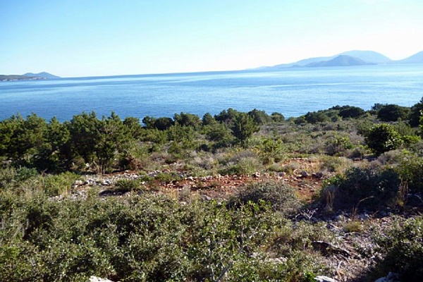 אדמה-148-לפקדה-1