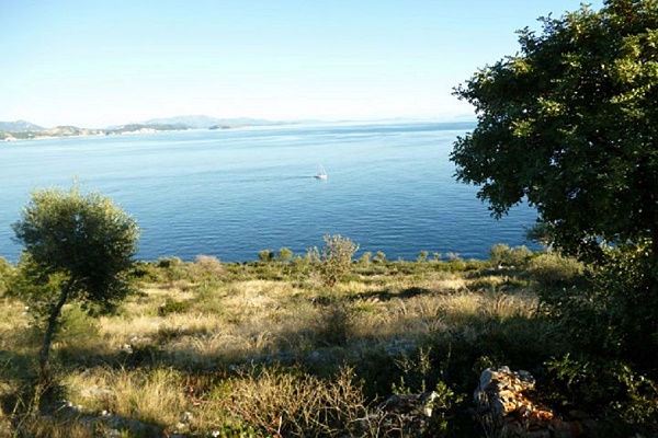 אדמה-149-לפקדה-6