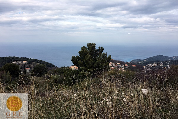 אדמה-161-לפקדה-2