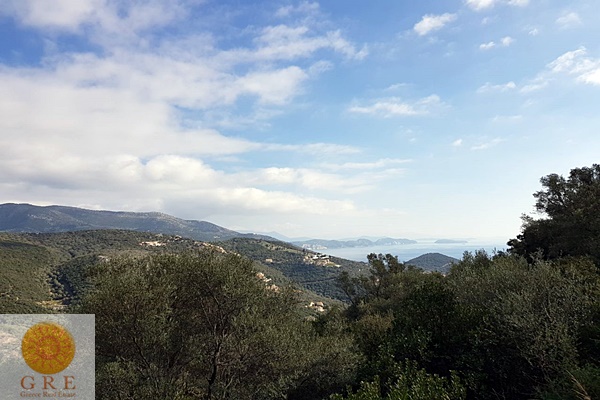 אדמה-167-לפקדה-2