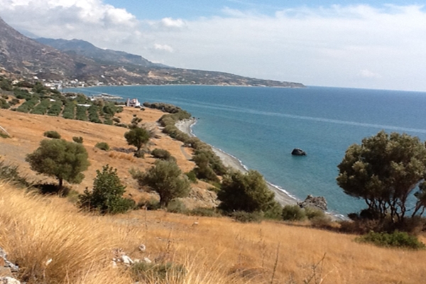 אדמה-17-כרתים-1