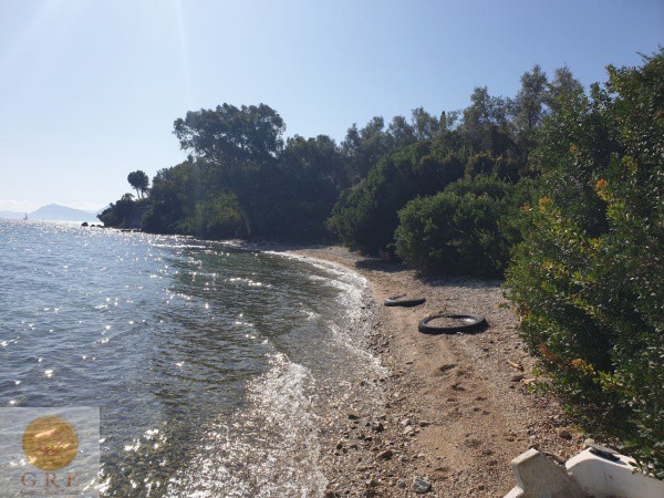 אדמה-252-לפקדה-9