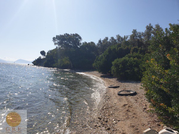 אדמה-259-לפקדה-4