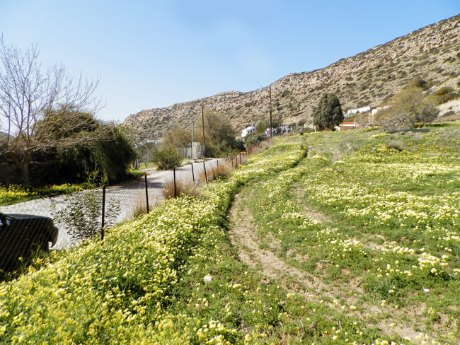 אדמה-29-כרתים-3