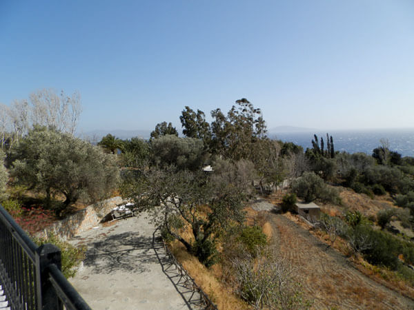 אדמה-32-כרתים-4