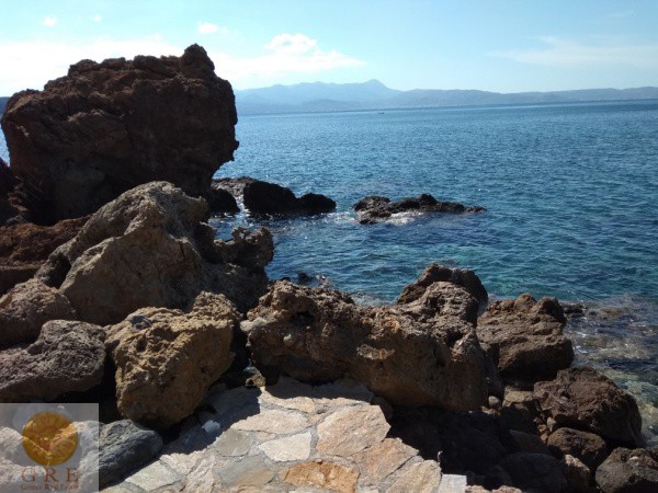 אדמה-למכירה-35-כרתים-3