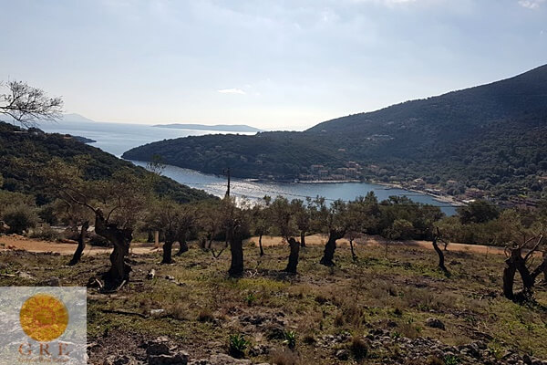 אמדה-165-לפקדה-6