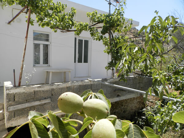 בית-מסורתי-40-כרתים-סאקטוריה-8