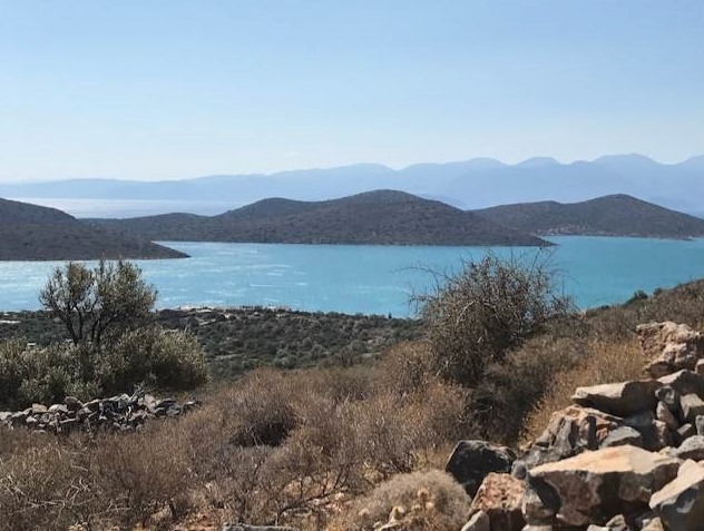 צילום-מסך-2022-04-11-141716