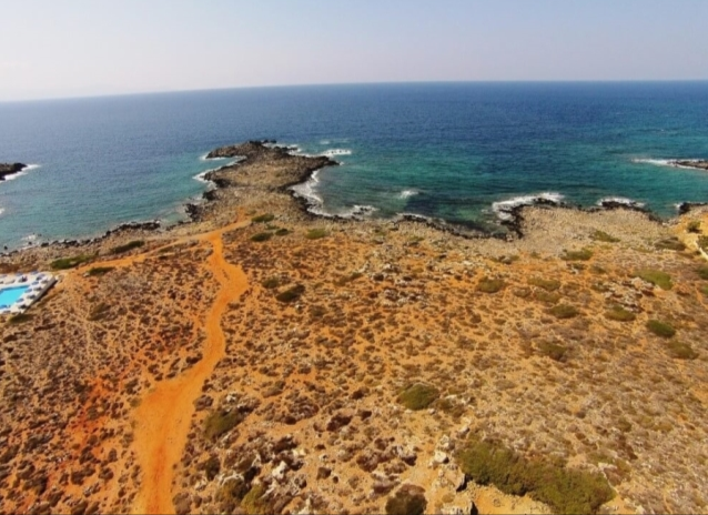 צילום-מסך-2022-04-11-145350