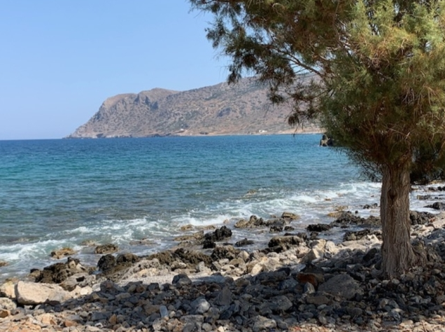 צילום-מסך-2022-04-13-101946