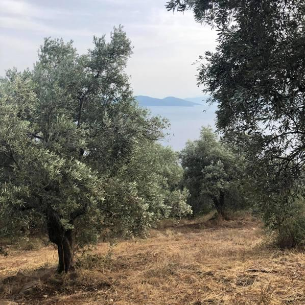 צילום-מסך-2022-04-14-105812