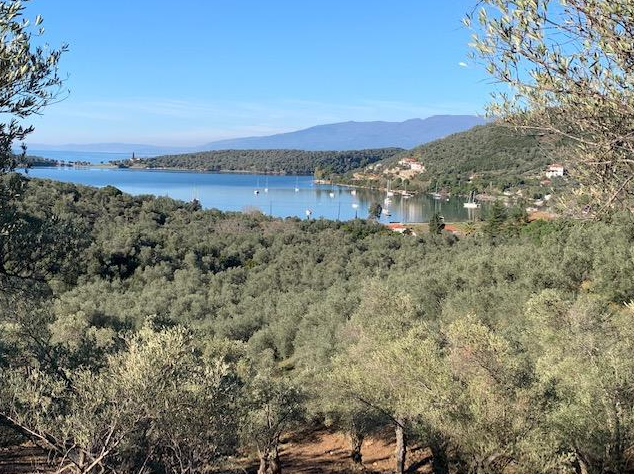 צילום-מסך-2022-04-14-111937